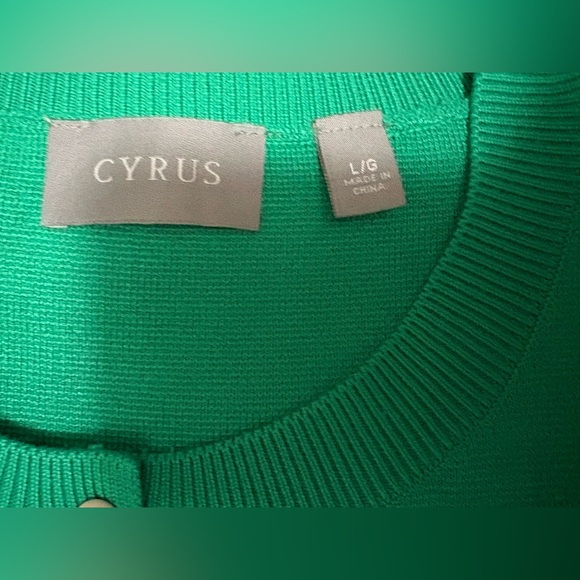Cyrus Green Women's Sweater Size Large - Picture 5 of 6